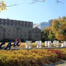 중앙대학교 이미지