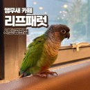 부산 서면 앵무새 이색 데이트 카페 리프패럿 시민공원점 후기