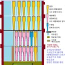 넥타(nectar)와 꿀(honey) 작성중입니다. 이미지