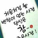 성주자동차