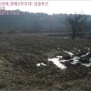 동막동(3) 이미지