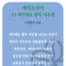 무궁화커피피었습니다 이미지