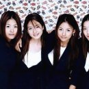 핑클 이미지