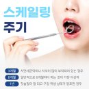 튼튼잇몸치과의원 이미지