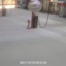 코끼리세차장 이미지