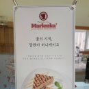 놀차 이미지