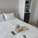 삼송 에끌라마마 산후조리원에서 조캉스 후기 🏨