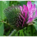 각시민박 이미지