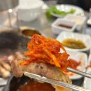 괴기파는집 이미지