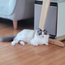 UR(오산시)-[가장산업서로]-상-2 | 오산가구 입주아파트 입주가구 오산중흥S클래스 에듀파크 박람회 휴앤홈가구 베니시모소파