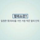 형태소 이미지