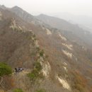 경관농장 이미지