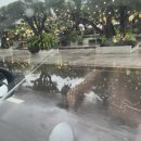 동현카서비스 | Nha Trang (3)