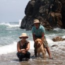 나곡해수욕장 이미지