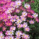 GS25 뉴성북 동아점 | 정말 너무 긴 외출?