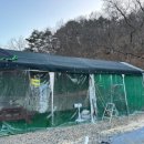 강산애펜션 네이버블로그