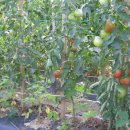 정훈농장2 이미지