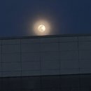 동백스크린골프 이미지