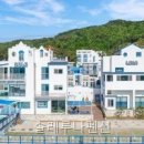 솔레루나 | 솔레루나펜션 직접 다녀온 솔직 후기