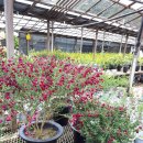 혜진농장 이미지