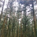 보름닭집 이미지