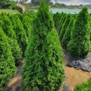 (주)그린서림 이미지