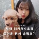 (애견 동반 여행) 충남 보령 대천 해수욕장 즐거운 펜션 자세한 후기 (소형 온돌방)