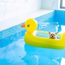 멍스클럽 이미지