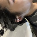 제니스튜디오광명철산역점