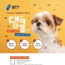 댕댕이# 이미지