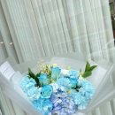 사파동235 이미지