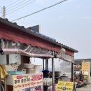 노란 오징어 | [속초 아바이마을맛집] 생선구이와 오징어순대 제대로 즐긴 ‘등대생선구이’ 후기