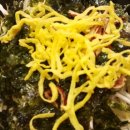 굴마을낙지촌 이미지