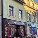 500025 | 루마니아 브라쇼브 올드타운 리틀하노이 쌀국수 솔직 후기 (메뉴추천,가격)