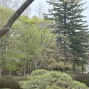윤옥연할매떡볶이 - 수성구 화랑로 100 | 윤옥연할매떡볶이