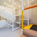 킹콩키즈풀빌라 이미지