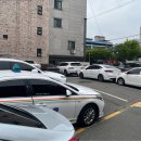 신사강식당 네이버블로그