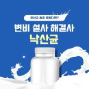 유산균 먹어도 효과 없었다면? 변비·설사에 좋은 낙산균 추천