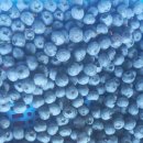 SK해안로주유소 이미지