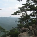 6월17일(화) 칠보산-쌍곡구곡[속리산국립공원내] 이미지