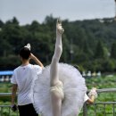 신광순 Daum카페