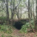 코시롱화덕피자 이미지