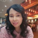 다모아부동산중개사무소 이미지