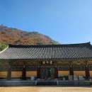 표충사호국박물관 이미지