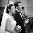 최지나 카카오 검색결과