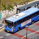 집현동_새나루 1단지 앞 이미지