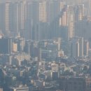 주식회사미정 이미지