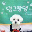 댕그랑댕 이미지