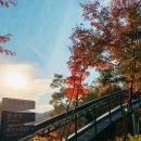 숲PC | 2025년 단풍놀이 화담숲 예약부터 후기까지