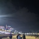 호진횟집 | 포항 당일치기 여행코스 후기 (일본인가옥거리/영일대/구룡포)